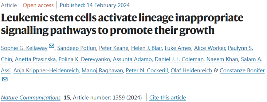 Natu Commun：揭示白血病干細(xì)胞在化療后促進(jìn)自身生長機制